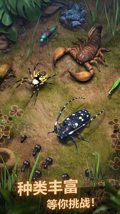 蚂蚁：地下王国游戏截图